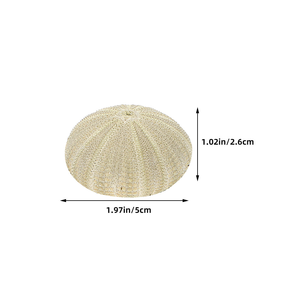 18 coquilles d'ormeaux pour re - Art And Craft Nature avis et prix