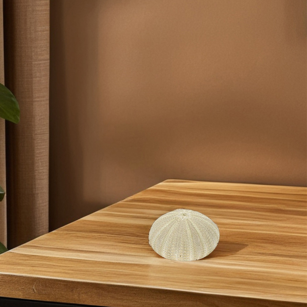 18 coquilles d'ormeaux pour re - Art And Craft Nature avis et prix
