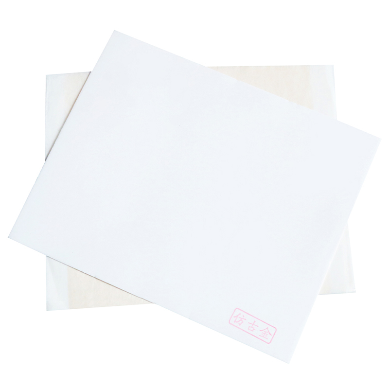 Feuille de papier noir 13x13.5 - Art Craft With Leaves avis et prix