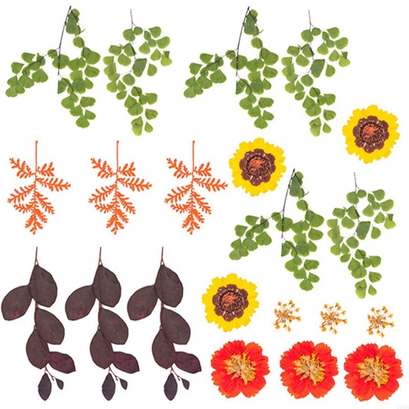 Fleur pressée séchée pour moul - Art Craft With Leaves avis et prix