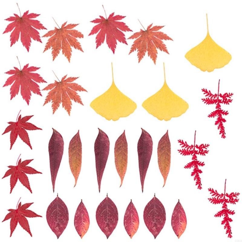 Fleur pressée séchée pour moul - Art Craft With Leaves avis et prix