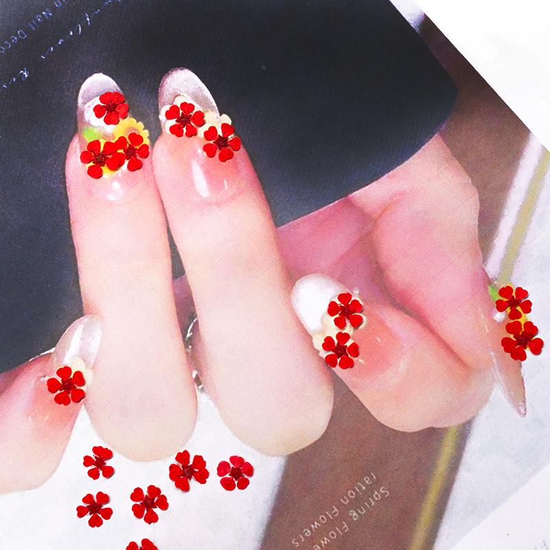 96 mini fleurs pressées nature - Art And Craft Nature avis et prix