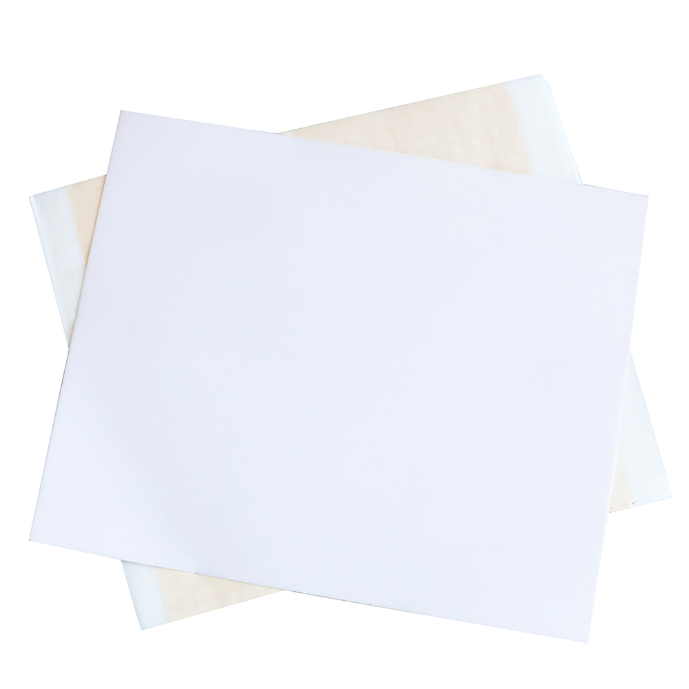 13x13.5cm Champagne Argent Feu - Art Craft With Leaves avis et prix